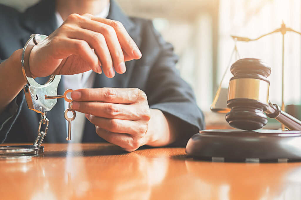 Justice brings freedom from Techsmith subscription