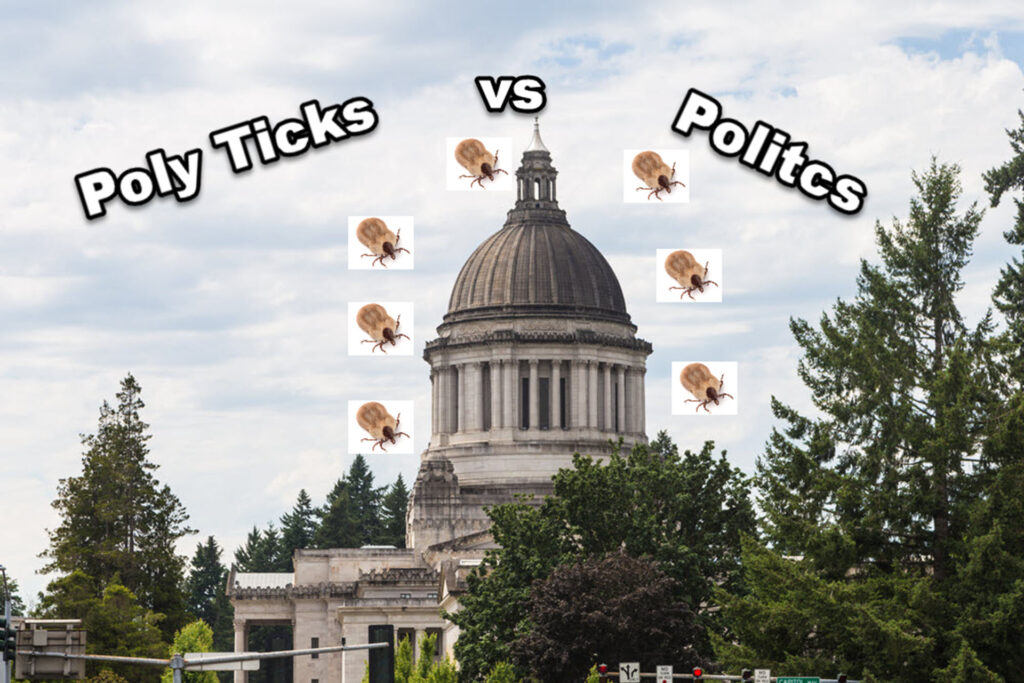 Poly ticks vs Politics